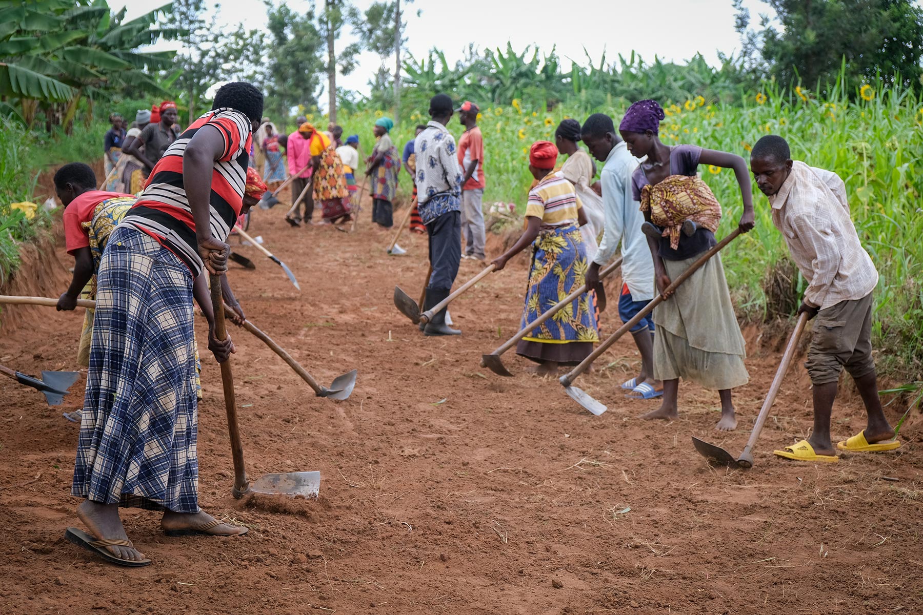 The group is working to establish a road through Mishiha Hill as part of the 10 micro-projects implemented by LWF Burundi and the Canadian Food Grains Bank.