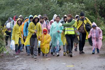 Escorted by a Czech volunteer (in the high-visibility vest), refugees approach the border into Croatia near the Serbian village of Berkasovo. Photo: Paul Jeffrey 
