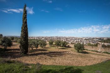 28 February 2020 photo of East Jerusalem. Photo: LWF/Albin Hillert