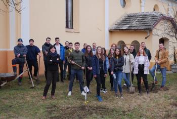 Youth of the Evangelical Lutheran Church in Romania planting saplings in the church garden of the Alszeg Church in Hosszúfalu. Photo: EVIKE