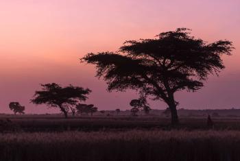 Dawn breaks near Ginnir in the Bale Zone of Ethiopia. Photo: LWF/A. Hillert
