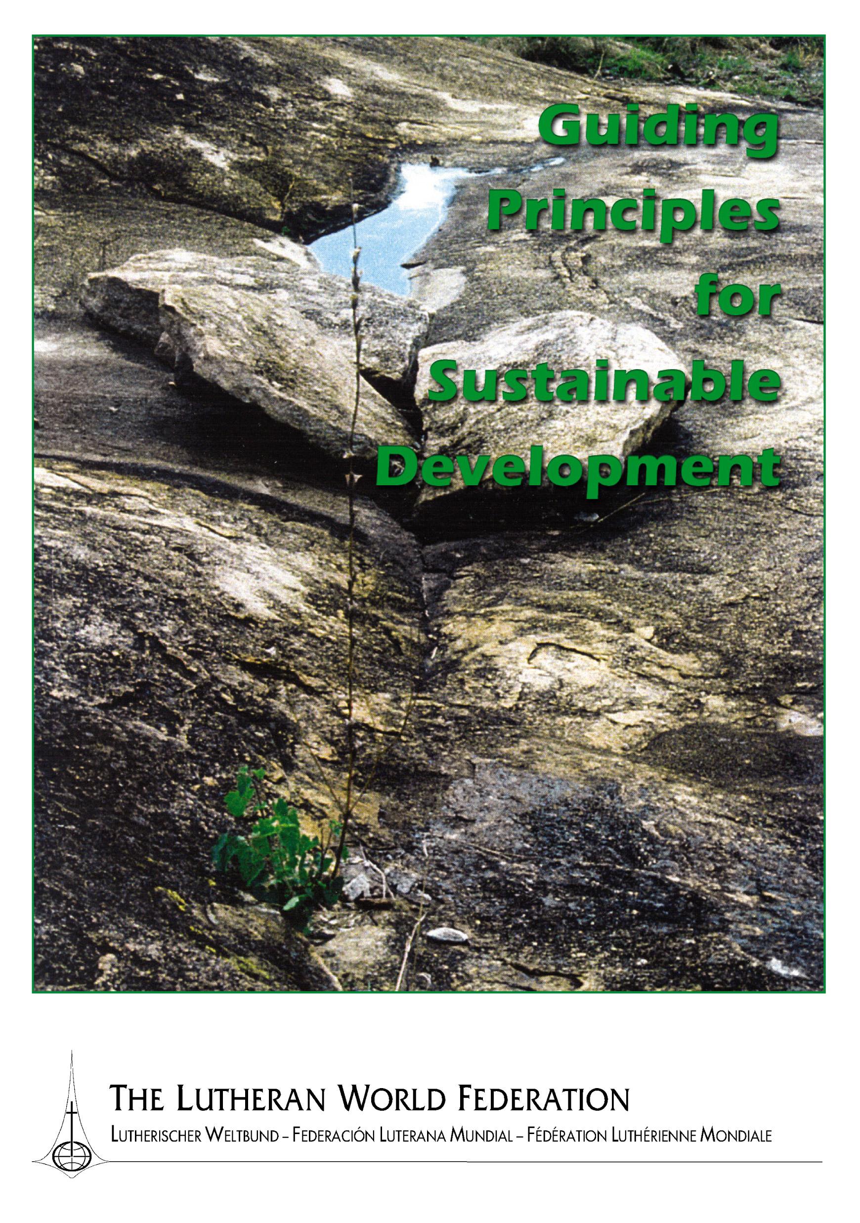 Guiding Principles for Sustainable Development