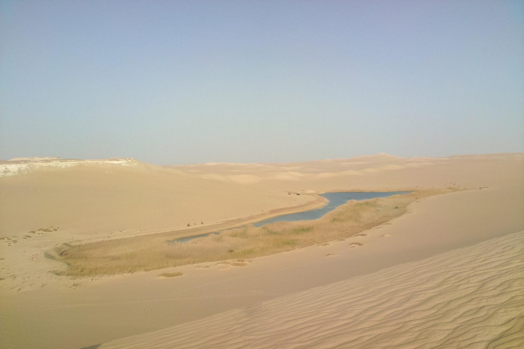 Water source in the desert near Siwa. Photo: StÃ©phane Gallay 