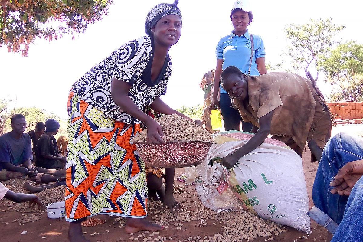 LWF in CAR is supporting displaced communities with food security by supporting groups of agricultural producers and through school feeding programs. Photo: LWF/Central African Republic.