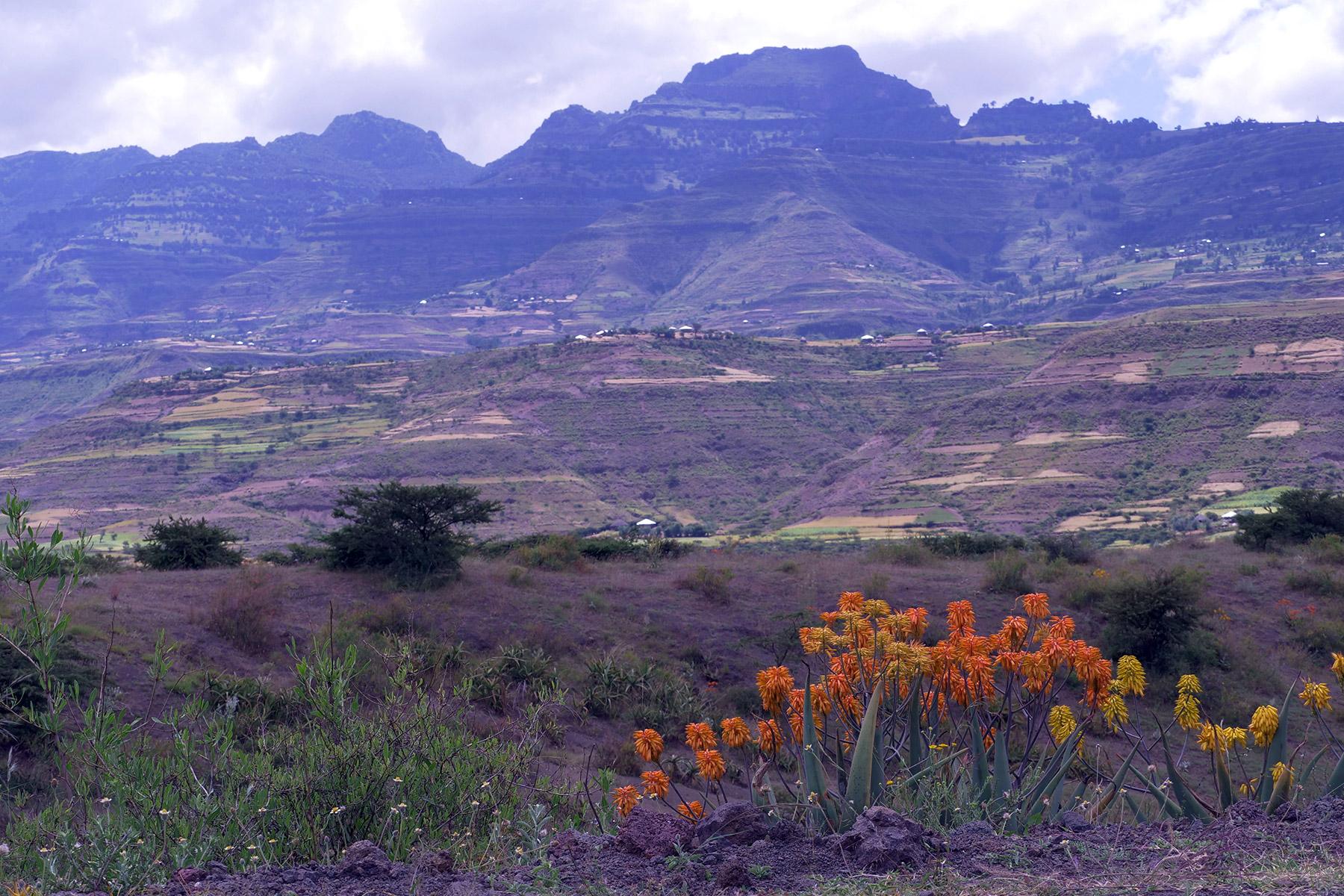 Landschaft in der Verwaltungsregion Amhara, einer Nachbarregion von Tigray in Äthiopien. Foto: LWB/C. Kästner