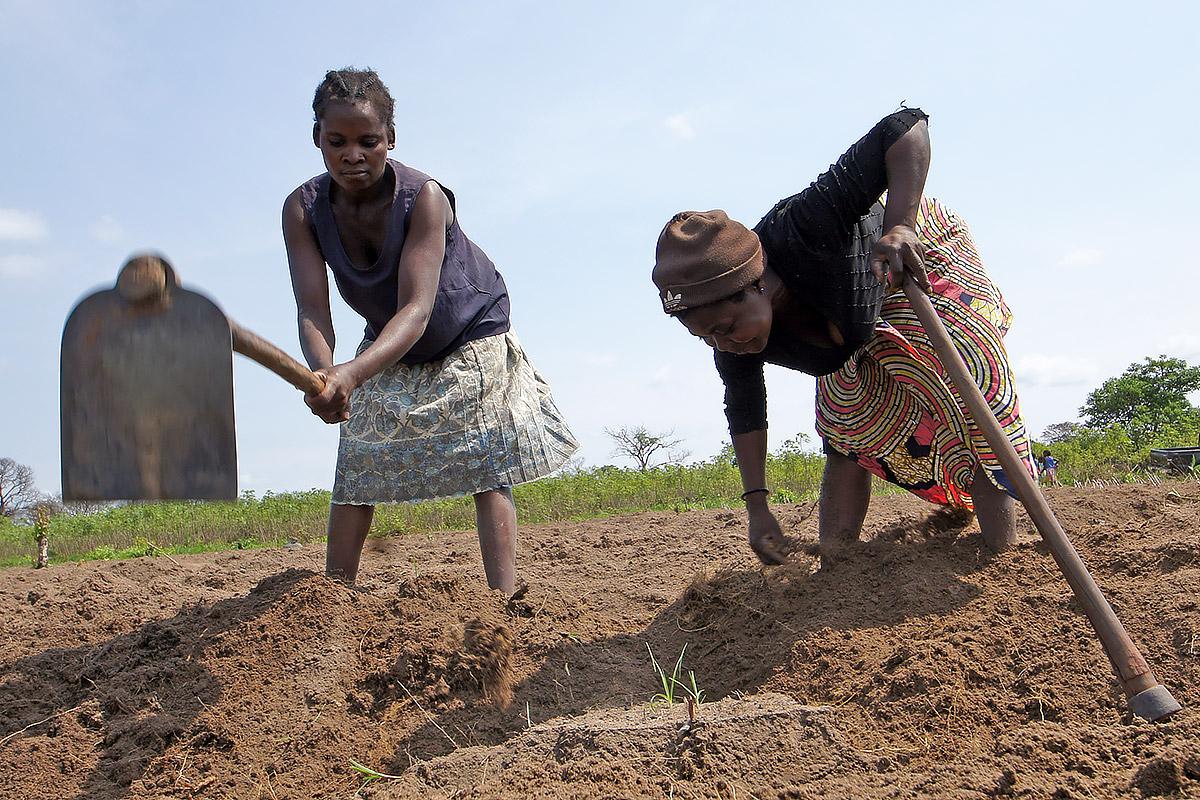 Women work community land in Cataca village, Angola. LWF supports communities in Angola on land rights and against land-grabbing. Interventions include workshops on land rights, women's empowerment, schools and literacy classes for adults. November 2017. Photos: LWF/ C. KÃ¤stner