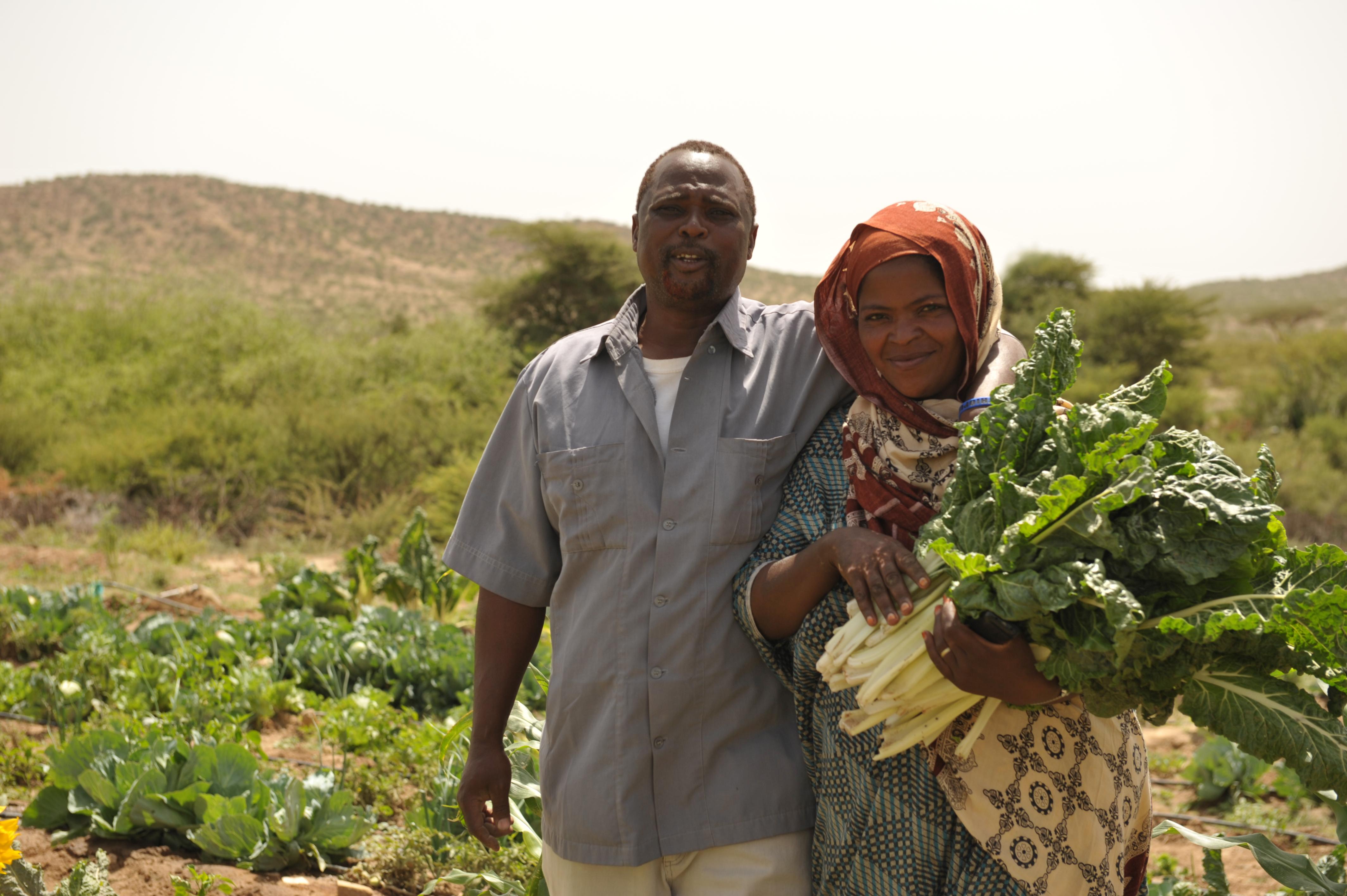 Abduleh Hasan und seine Frau Shukri mit frisch geerntetem Gemüse. Fotos: LWB/C. Kästner