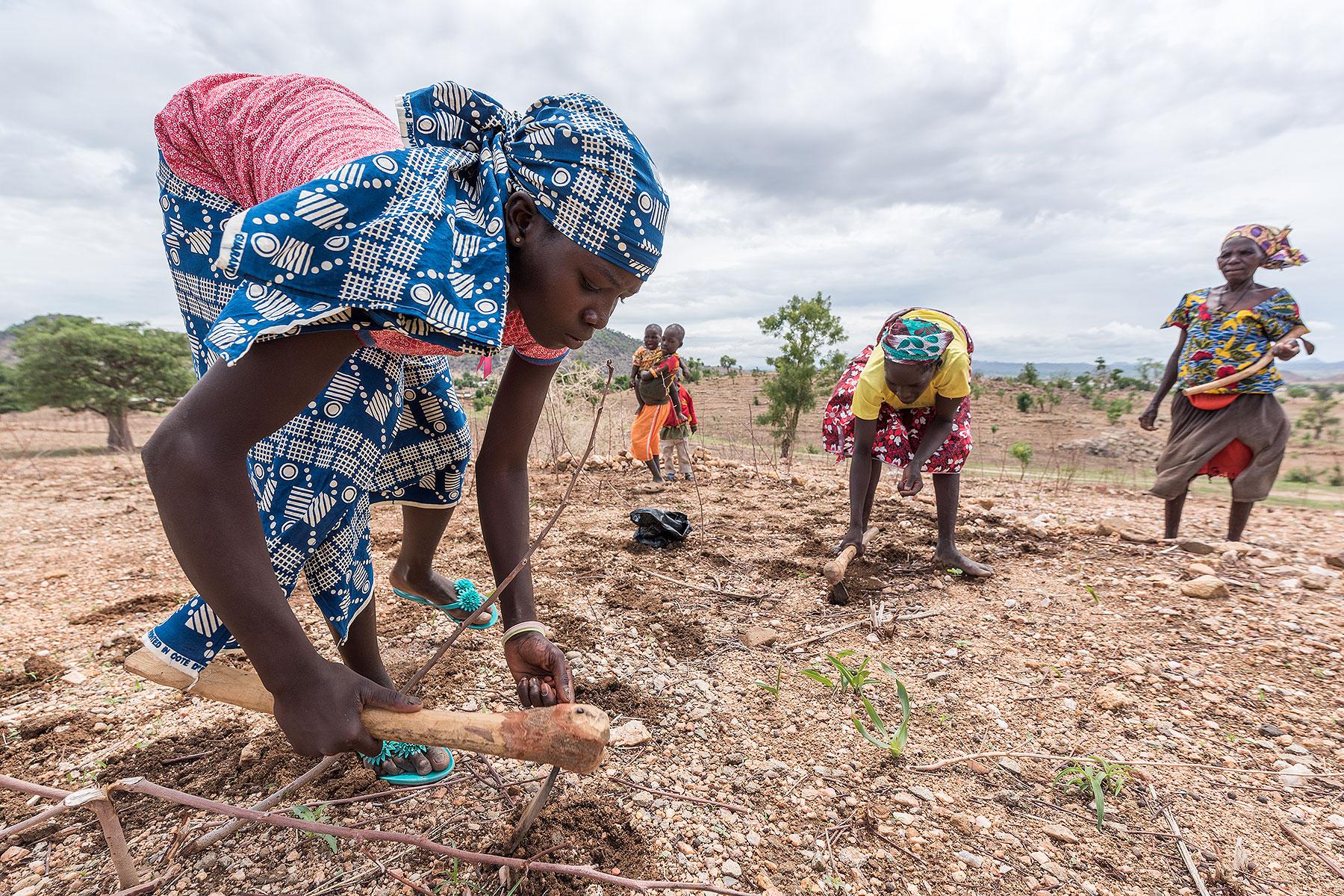LWFs accreditation as observer to the UNEP Assembly provides a significant opportunity to channel the voices of those people most affected by environmental problems caused by climate change. The photo shows refugee women sowing groundnut near the Minawao camp for Nigerian refugees in Cameroon. Photo: LWF/Albin Hillert 