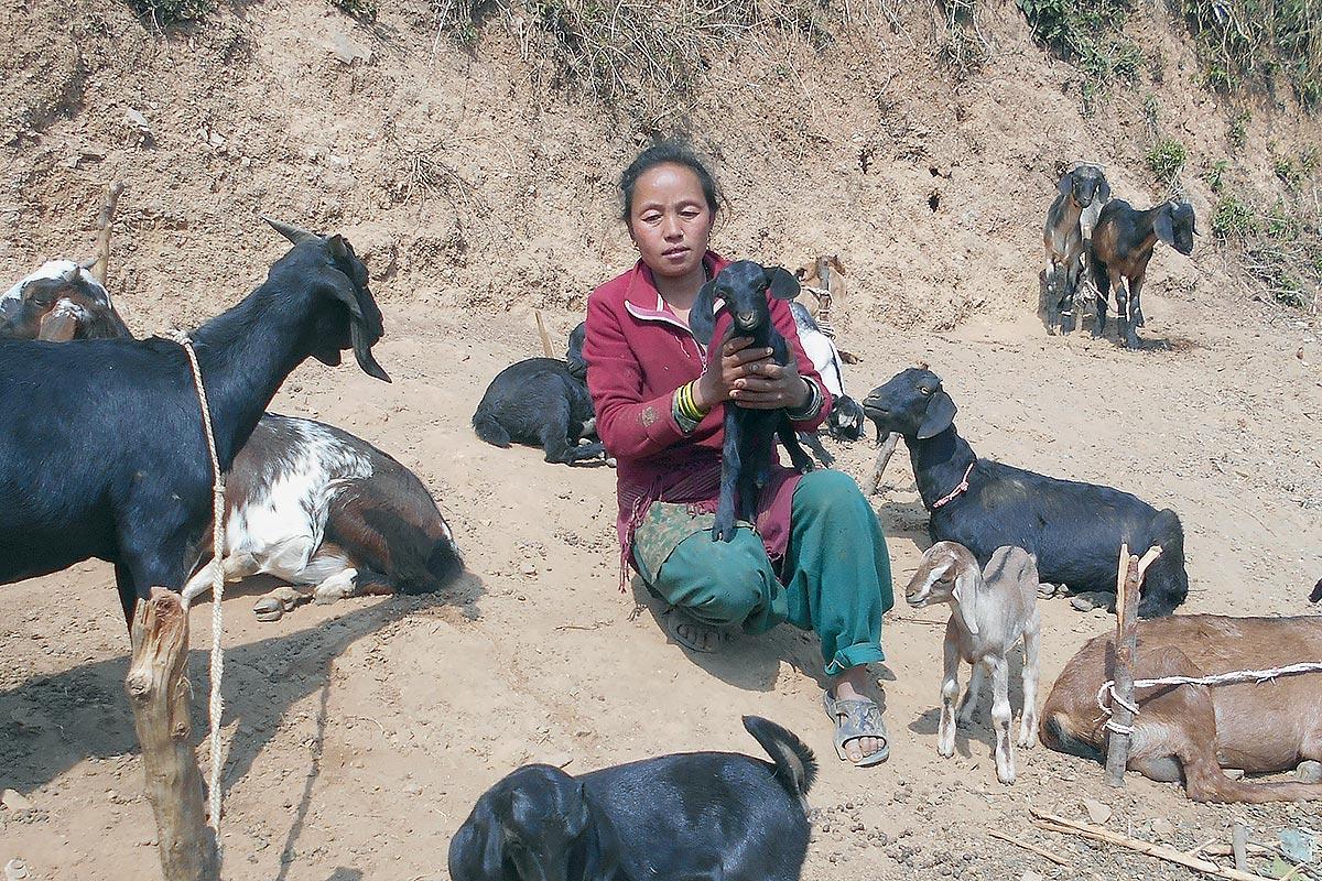 Asmita Nyasur, an indigenous woman in Nepal, used financial support provided by LWF Nepal to recover from the 2015 earthquake. Photo: LWF/Ram Sharan Sedhai