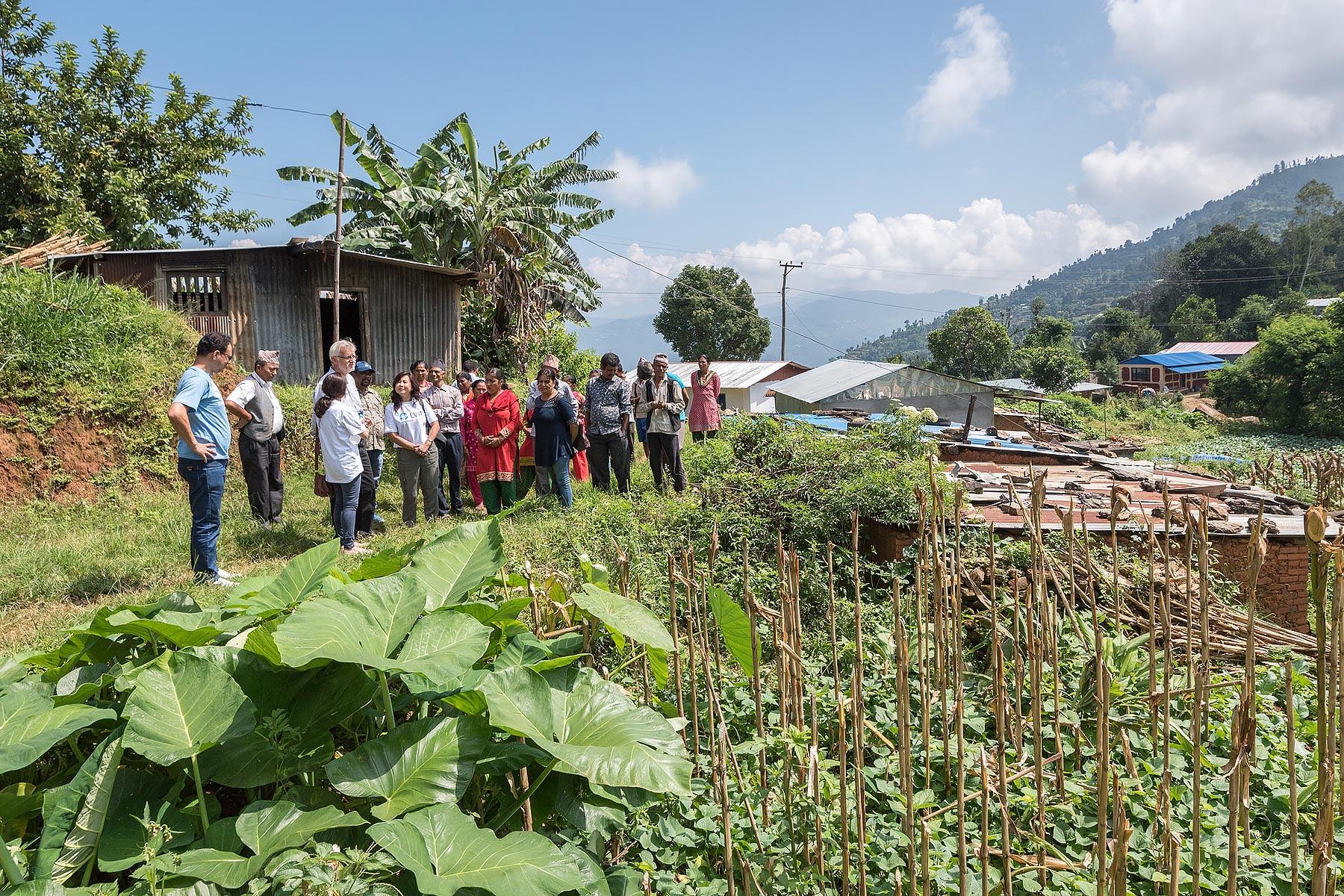 Fruchtbarer Boden: Gemüsegärten der Gemeinschaft, die mit der Unterstützung des LWB-Nepal angelegt wurden, verbessern nicht nur die Ernährungslage. Der Produktionsüberschuss wird auf dem Markt verkauft und sorgt für zusätzliches Einkommen. Alle Fotos: LWB/Albin Hillert