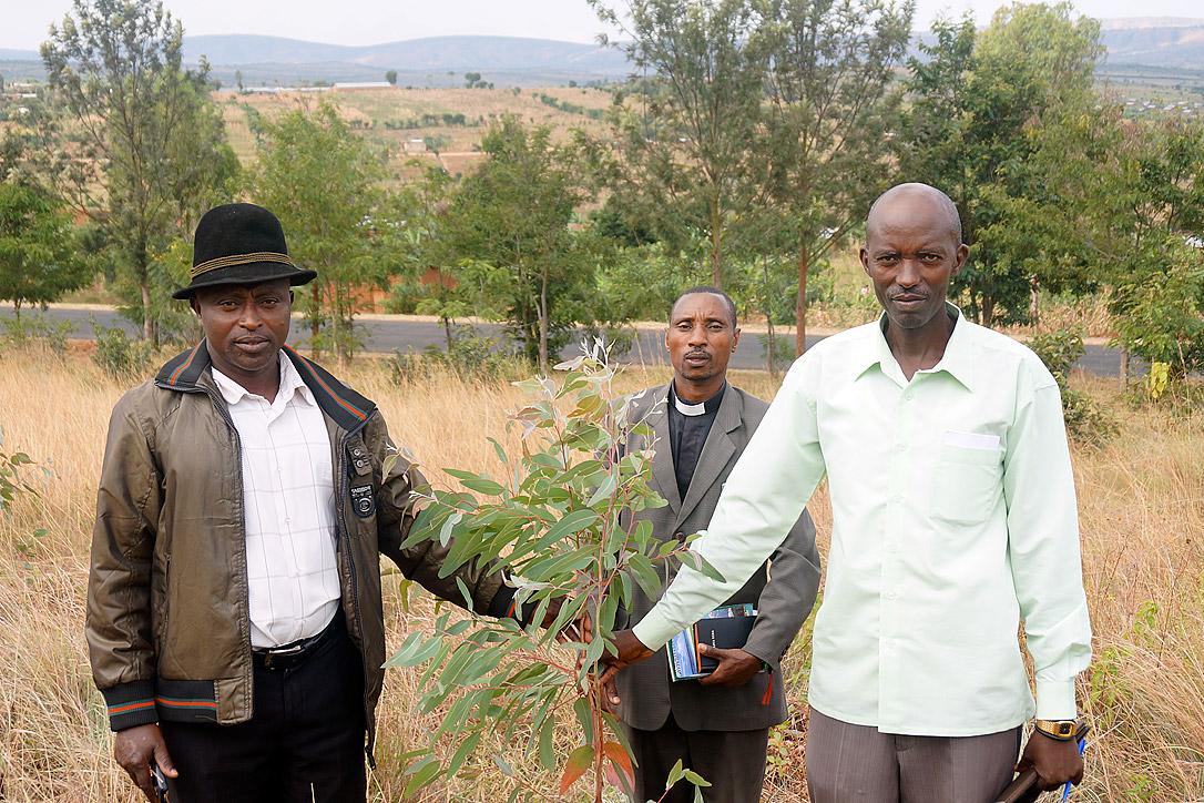 Baumpflanzung in der Gemeinde Matimba der Evangelisch-Lutherischen Kirche Ruandas. Foto: LWB/J. Brummer
