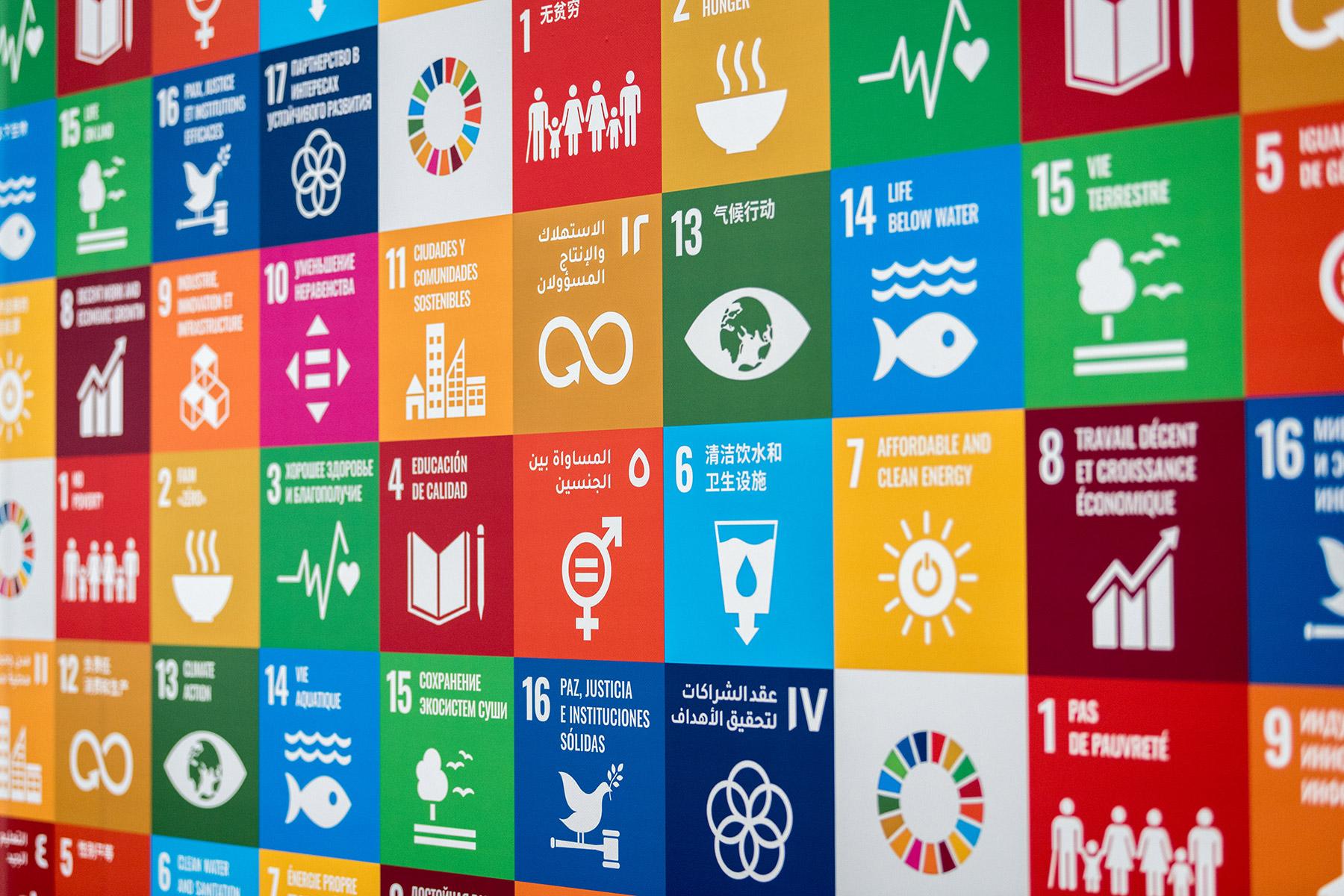 Die Online-Kampagne "17 Wochen, 17 Ziele" stellt jede Woche eines der UN-Ziele für nachhaltige Entwicklung in den Mittelpunkt und ruft zu Aktionen zu dem jeweiligen Thema auf. Foto LWB/Albin Hillert