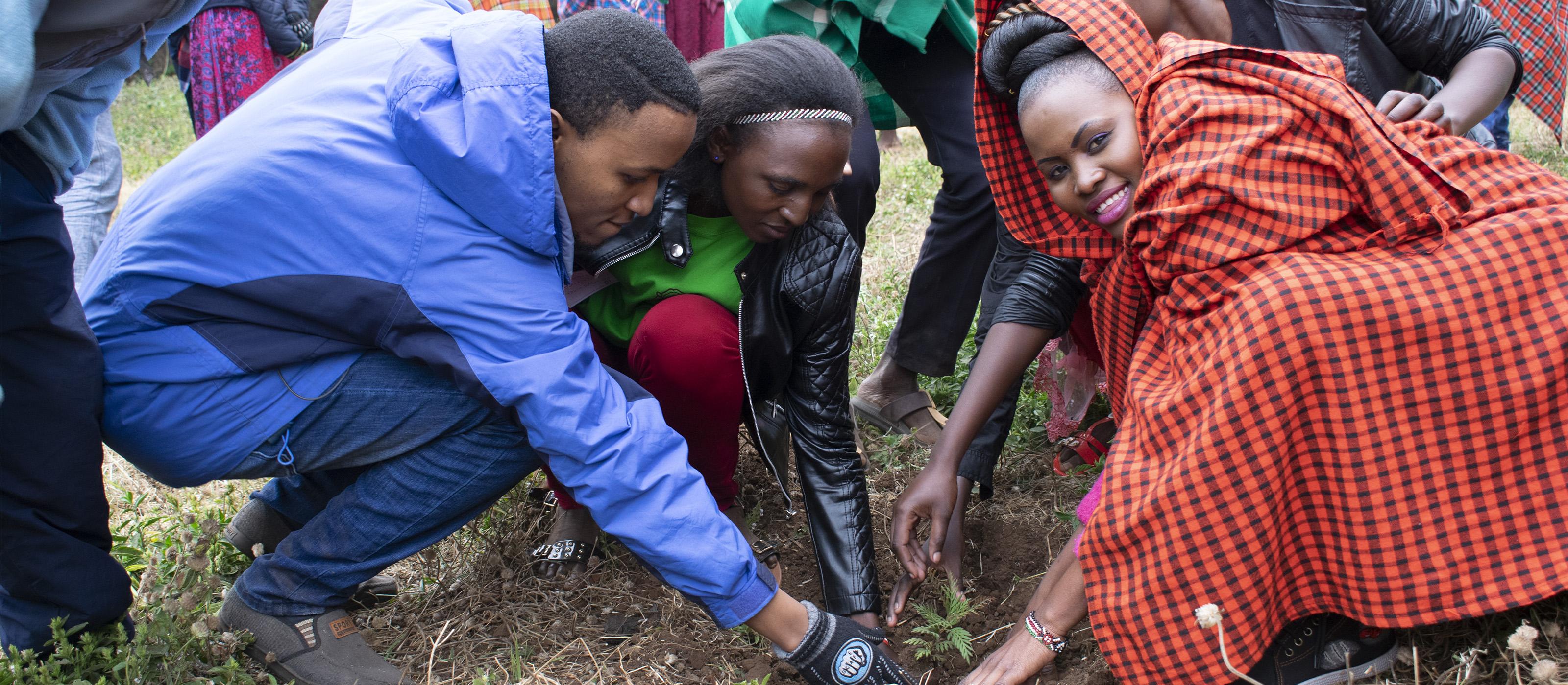 In der Kenianischen Evangelisch-Lutherischen Kirche leiten junge Erwachsene eine Baumpflanz-Aktion. Foto: KELC Youth