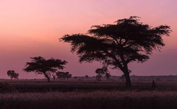 Dawn breaks near Ginnir in the Bale Zone of Ethiopia. Photo: LWF/A. Hillert
