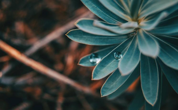 For many Indigenous people, round things in nature represent the circle of life and all creation. Often, this motive is taken up in the round shape of their dwelling places and homes. Photo: Verónica Álvarez via Unsplash