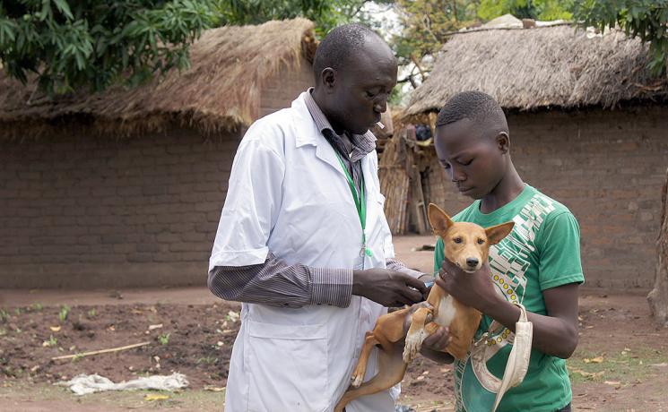 A DWS staff member vaccinates a the dog belonging to a refugee as part of an animal vaccination campaign, Dosseye camp, southern Chad. The LWF celebrates the work of staff around the world on World Humanitarian Day. Photo: LWF/ C. Kästner