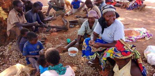 Community members meet under a big mango tree, pealing peanuts together. Photo: LWF/Central African Republic