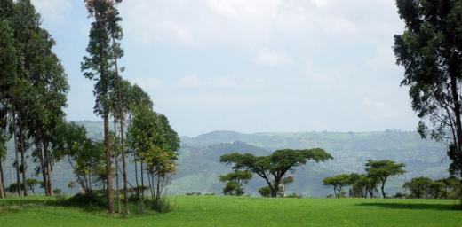 Ethiopian landscape. Photo: LWF/M. Egli