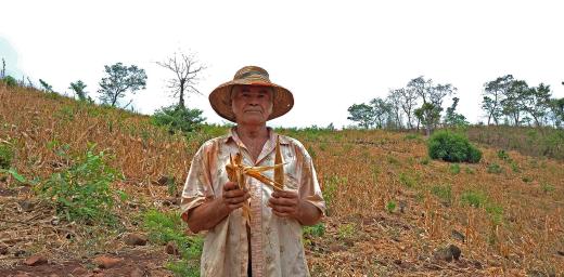 A farmer in El Salvador,Â showing the impact ofÂ prolonged droughtÂ on his crop of corn. LWF/C. KÃ¤stnerÂ 
