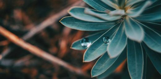 For many Indigenous people, round things in nature represent the circle of life and all creation. Often, this motive is taken up in the round shape of their dwelling places and homes. Photo: VerÃ³nica Ãlvarez via Unsplash