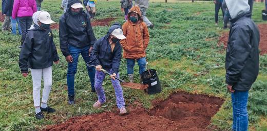 Pupils of Hermannsburg School in KwaZulu-Natal prepare the ground for tree planting. This climate project of the Northeastern Evangelical Lutheran Church in South Africa was supported by the LWF. Photo: HMB school
