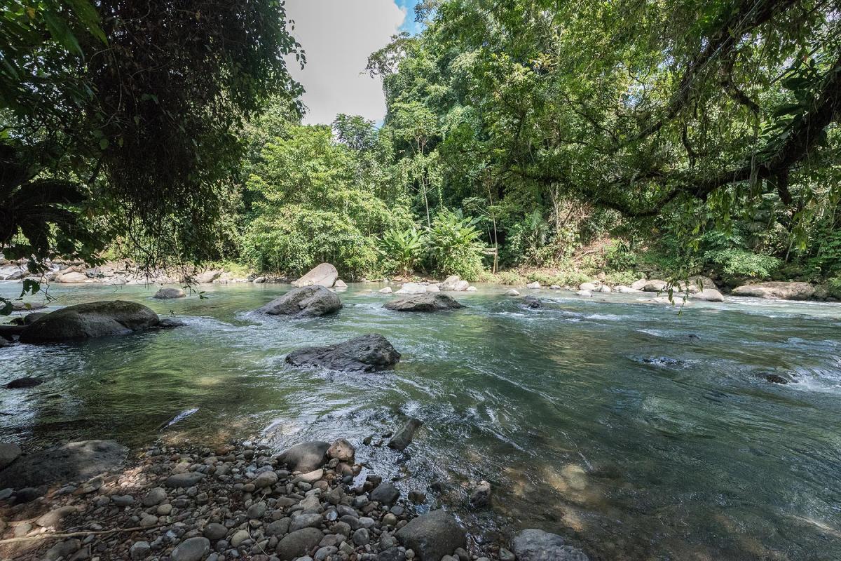 The area of San José de León, Mutatá, Antioquia, Colombia, is rich in clean water - a great asset, but also a threat to the community, as mining companies and other interests may enter the scene to exploit or damage the natural resource. Photo: LWF/Albin Hillert
