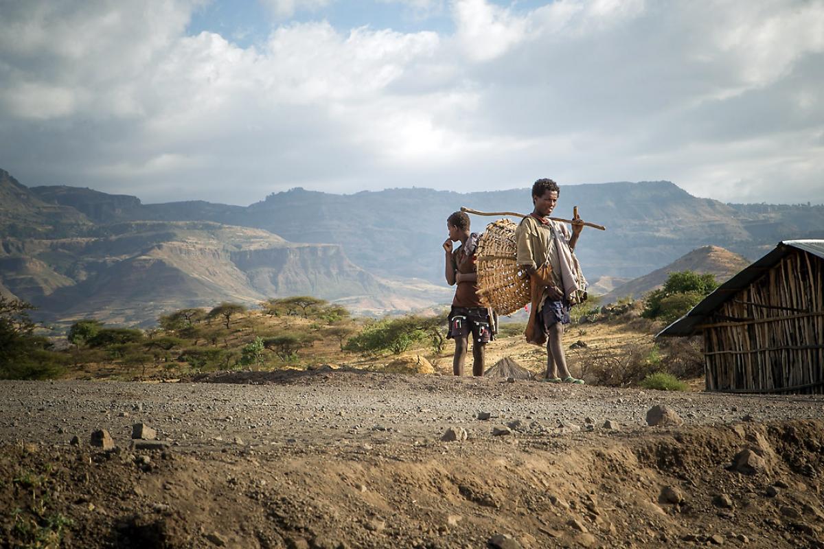 Once again, Ethiopians have to deal with a drought as the north of the country is heavily affected by El Nino. Photo: Hannah Mornement