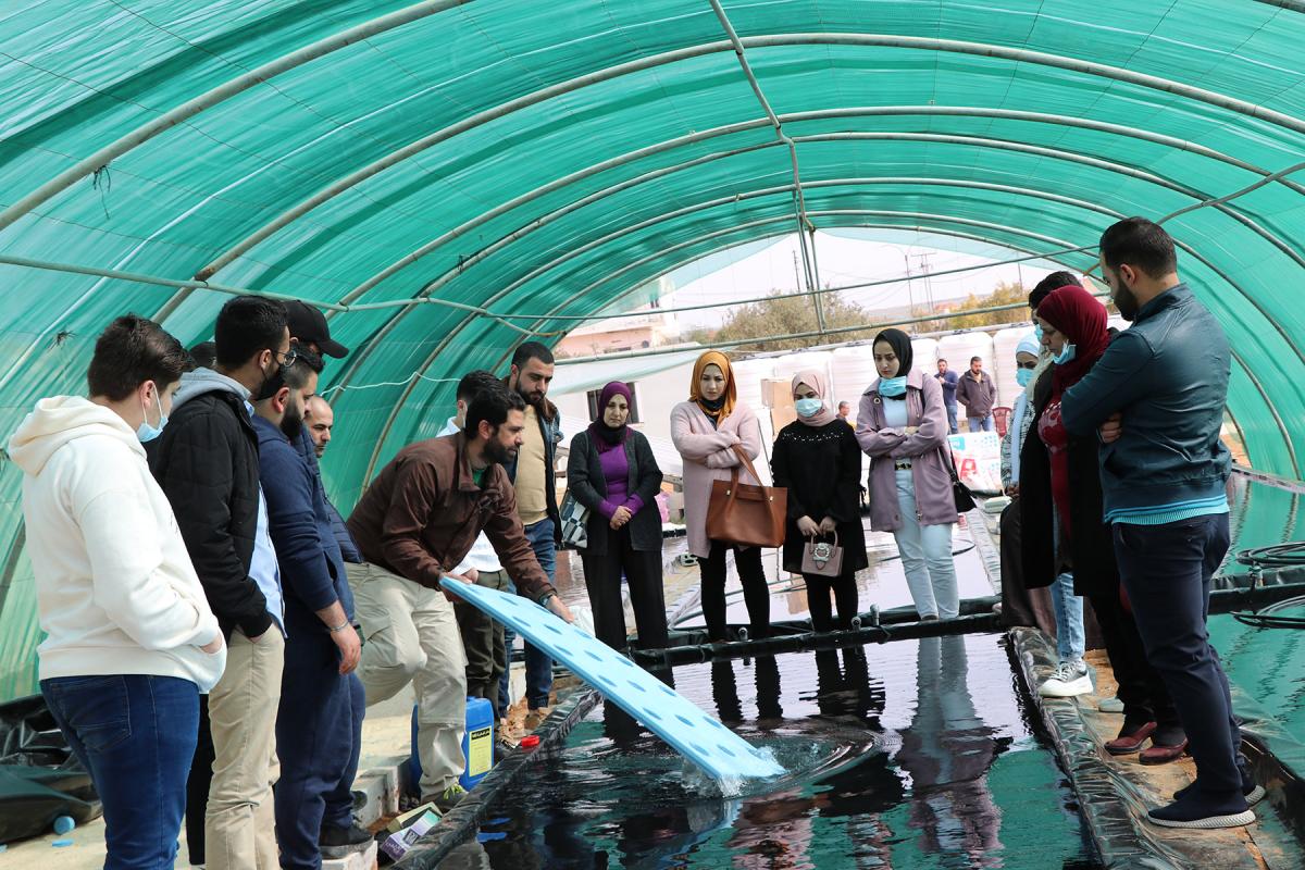 LWF Jordan staff, refugees and host community members take part in a training on hydroponics farming. The system uses 90 percent less water compared to conventional farming, and it is powered by photovoltaic panels, which also reduce fossil fuel energy consumption. Photo: LWF Jordan/Daham Al-Hamad